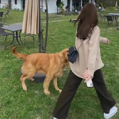 威尔和格蕾丝第九季